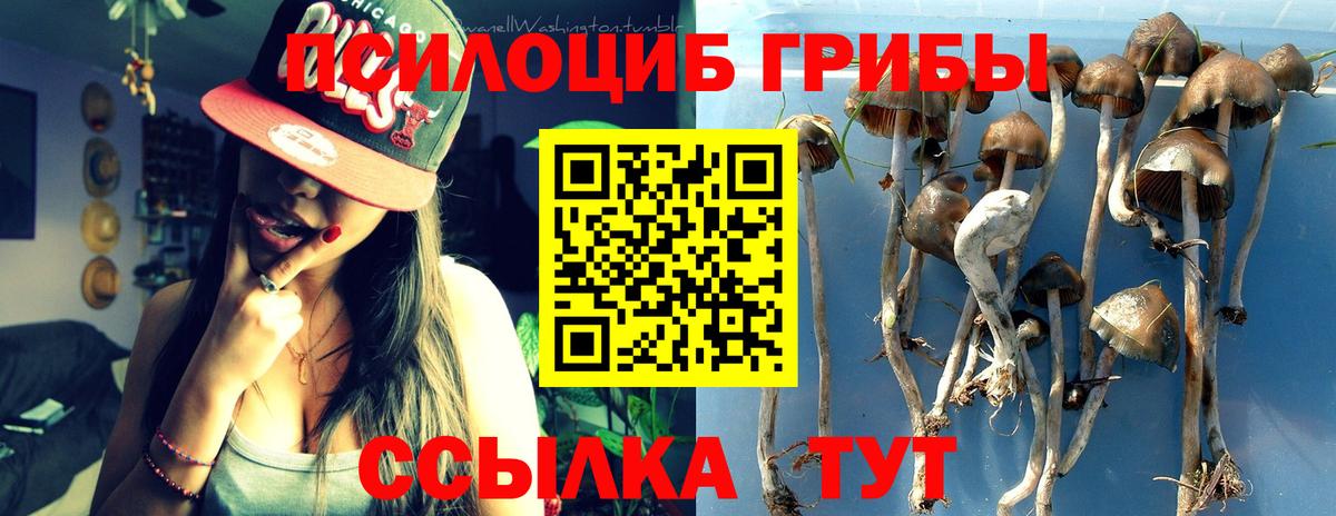 Псилоцибиновые грибы GOLDEN TEACHER Лабинск